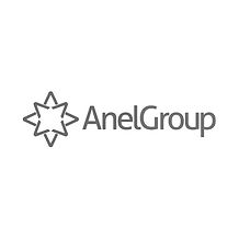 Anel Group